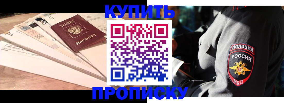 прописка поиск в Камышине